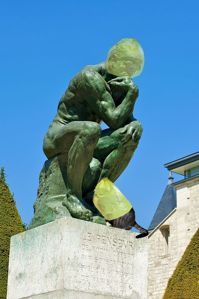 catwifbag tweet media