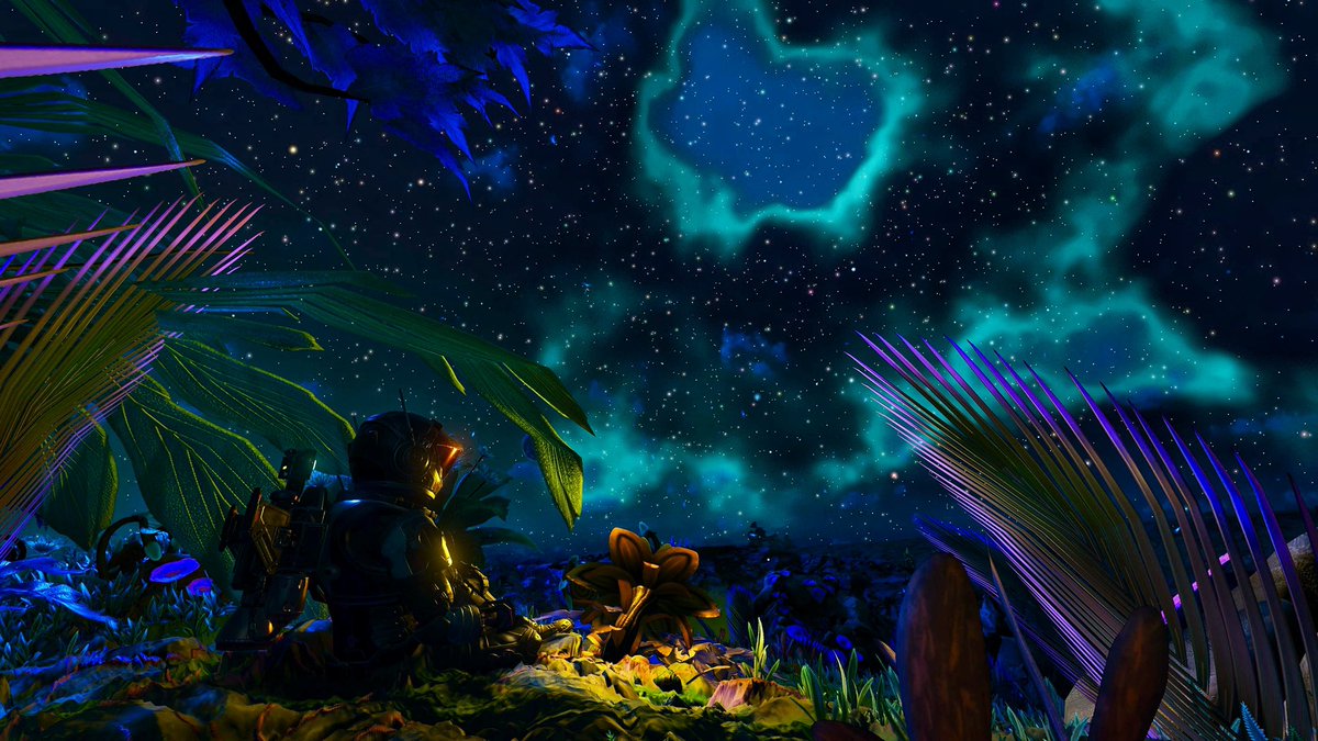 ✨ My favorite capture to date ✨ 

This jungle was amazing, perfect place for a camp out 🏕️ 
—
<a href="/NoMansSky/">Sean Murray</a> <a href="/hellogames/">Hello Games</a> 
#NoMansSky #NoMansSkyWorldsPt2