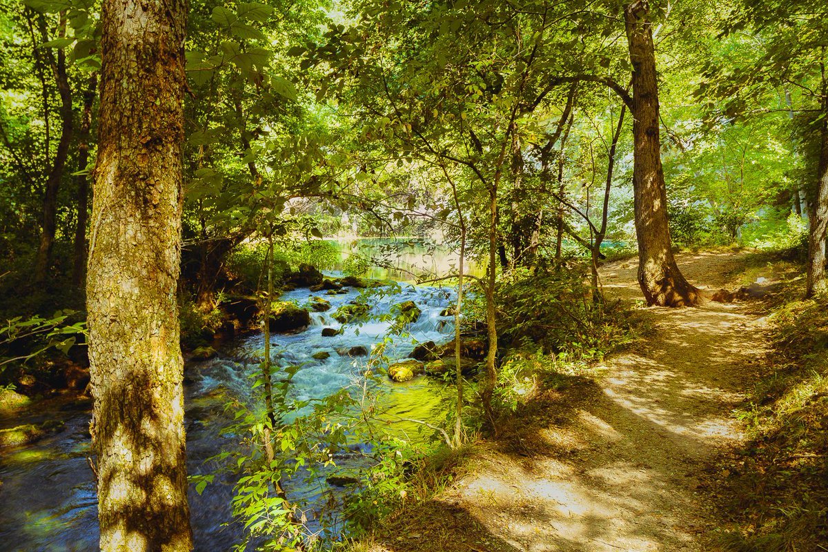 A sun-dappled path along Alley Springs in the Ozark National Scenic Riverways, Missouri. #alleysprings #travel #photography

pixels.com/featured/a-wal…