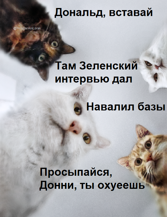 Перегар АниЛоракович (@peregaranilorak) on Twitter photo 