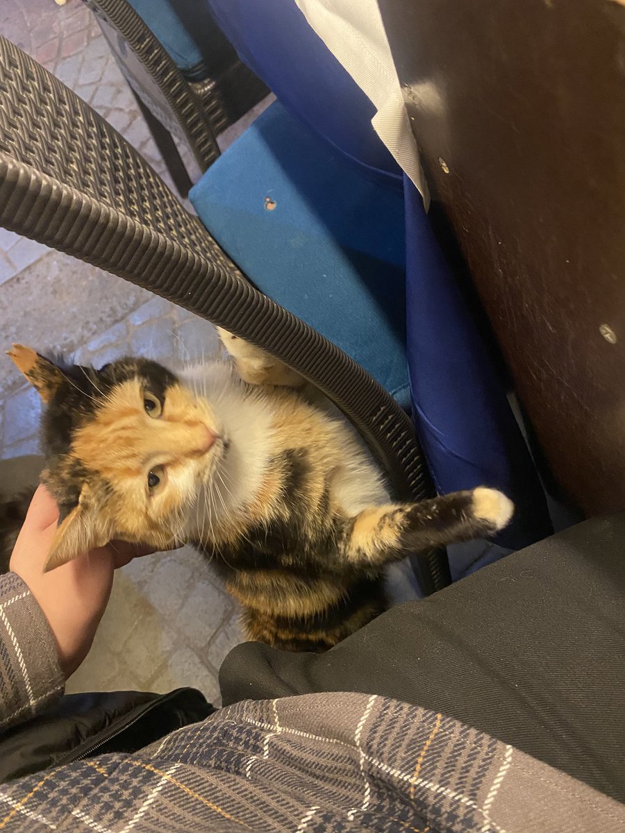 derbi öncesi stres atmaca