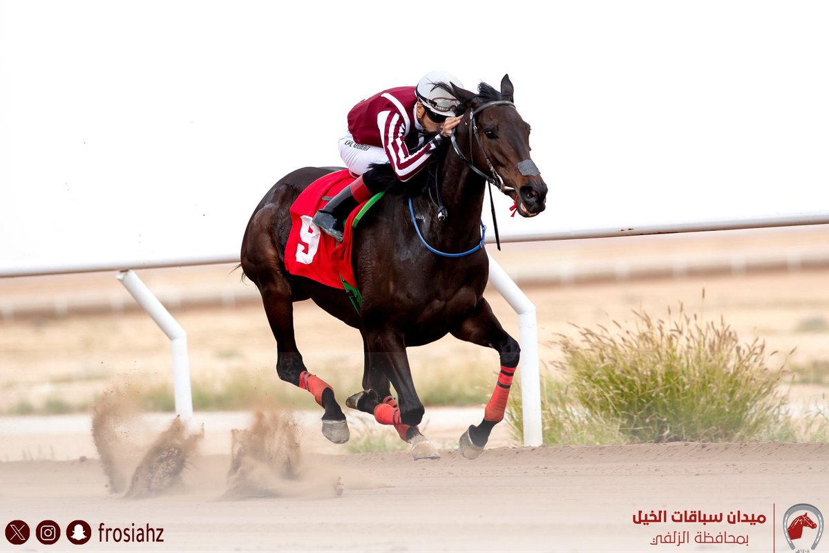 الفائز بالشوط الأول على هدية  وجوائز دعم فندق مداريم كراون 
<a href="/madareemhotel/">Madareem Hotel فندق مداريم</a>

◽️الشوط : الأول 
◽️المسافة: 1600
◽️الجواد : أميرة النفود 
◽️المالك: إسطبل العنابي 
◽️المدرب: خالد وليد البدر
◽️الخيال : مهند عبدالله النصار
◽️الزمن: ١،٤٦،٨٨

#ميدان_فروسية_الزلفي
#يوم_التأسيس