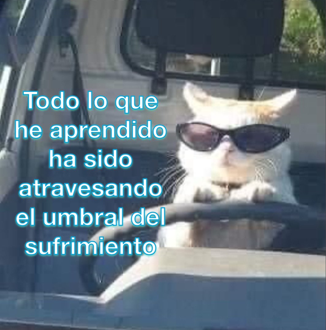 emociones amarillas (@conoloracigarro) on Twitter photo 
