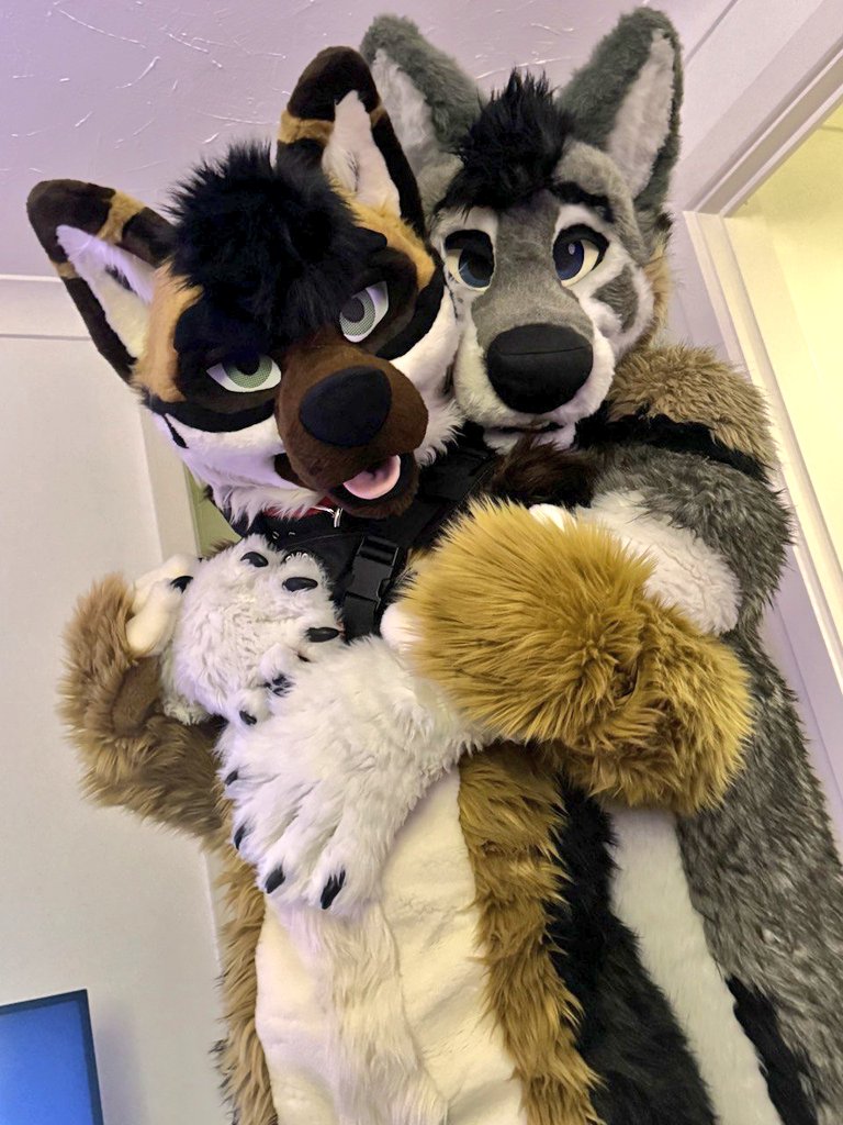 Big wuff, small Shep 

<a href="/VoltShep/">volt ⚡️</a>