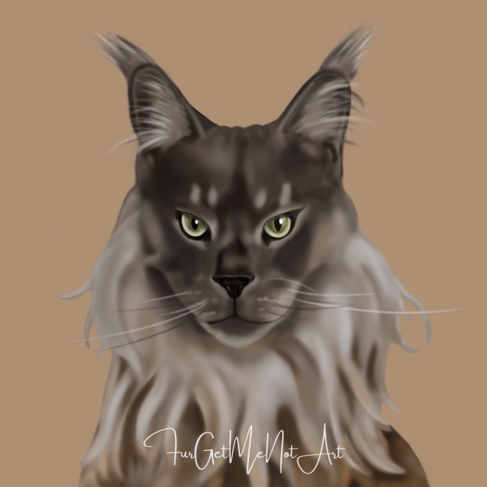 FurGetMeNotArt's tweet photo. Maine Coon Bodhi ❤️😺 Maine Coons are majestic are loving companions. They are one of the largest domesticated cat breeds.  

#Mainecoon #Petportrait #Petart #Catlovers #Largecats https://t.co/1aho2nqh59