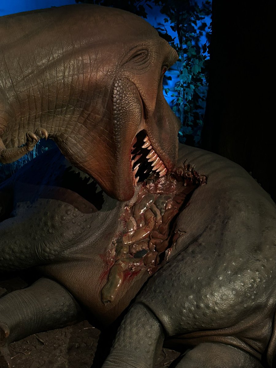 Tyler Keillor tweet media