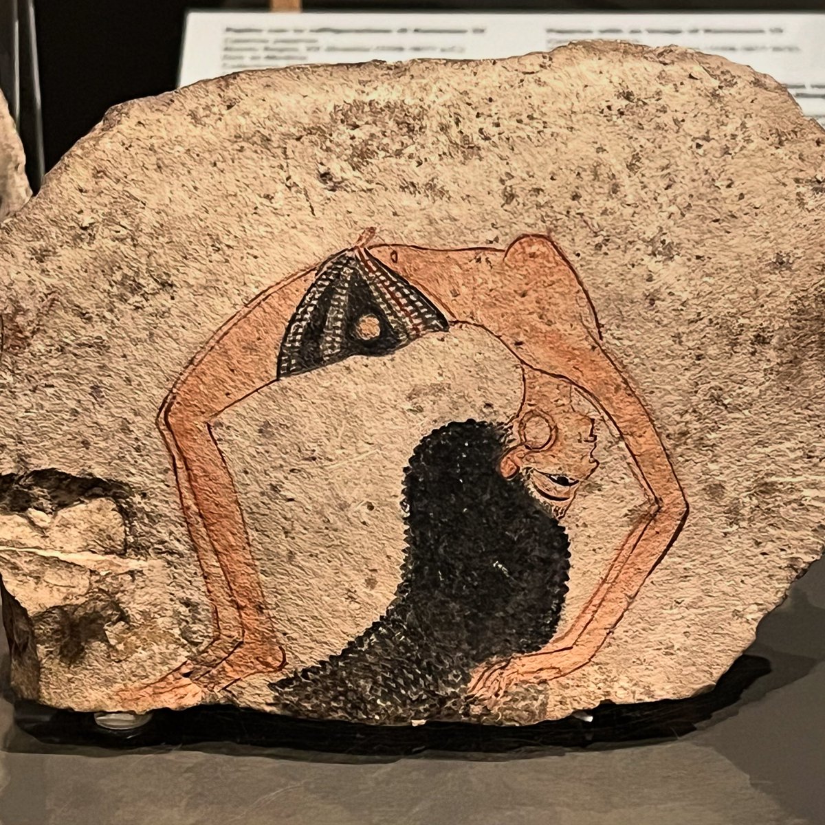 DimitriTilloi's tweet photo. L’un des chefs-d’œuvre du Musée égyptien de Turin : danseuse sur un ostrakon de la XIXe ou XXe dynastie provenant de Deir el-Médineh (vers (1291-1077 av. J.-C.). https://t.co/jjy7uE0Nd7
