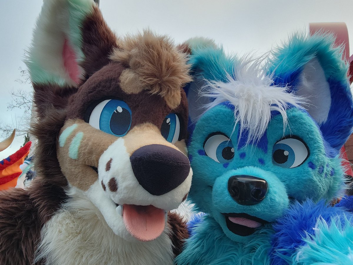 Met some mega cuties this afternoon 💙