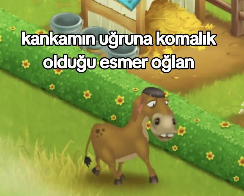 ANLIK (@anlikmod) on Twitter photo 