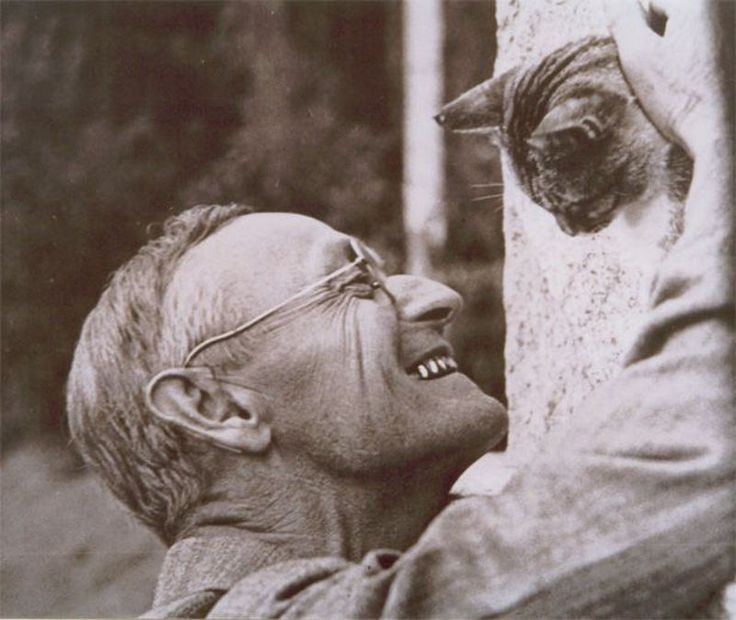 avesta____'s tweet photo. ..

Biliyorsun çünkü, 
Yumuşak sertten güçlüdür,
Su kayadan güçlü,
Sevgi zorbalıktan güçlüdür.

..

#HerrmannHesse https://t.co/y7waqrrMwR