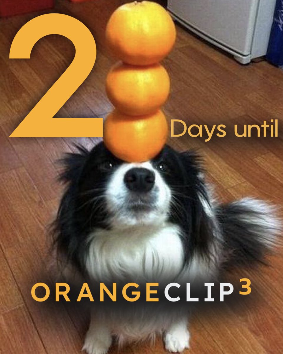 Meet our new marketing director for Orange Clip 3: CHEDDAR.

This dog? Absolute genius. Balances three oranges, runs ad campaigns, and naps. An absolute good boy.

Orange Clip 3 drops in 2 days—it’s the most intuitive and powerful multiband clipper yet.