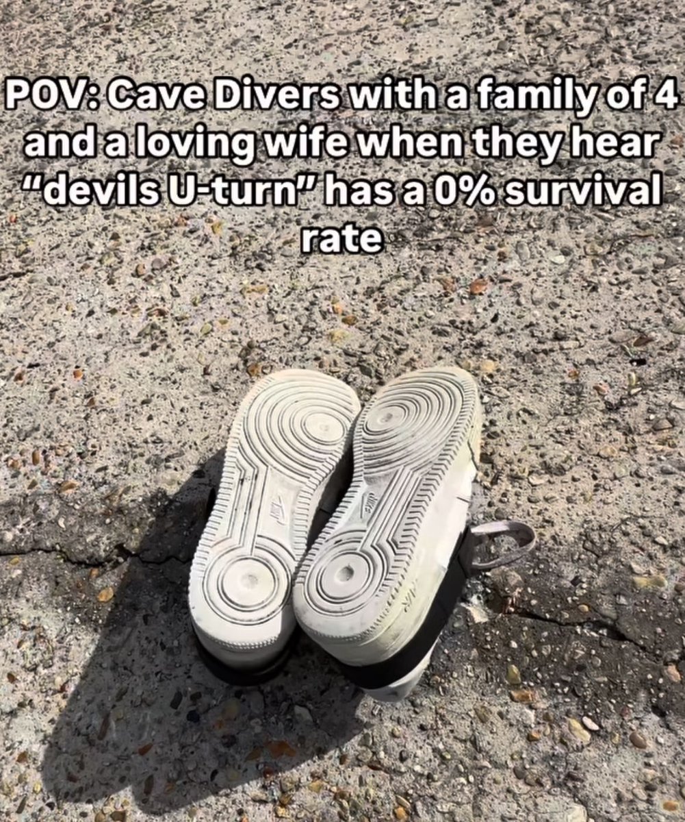 Wild TikToks (@wildtiktokss) on Twitter photo 