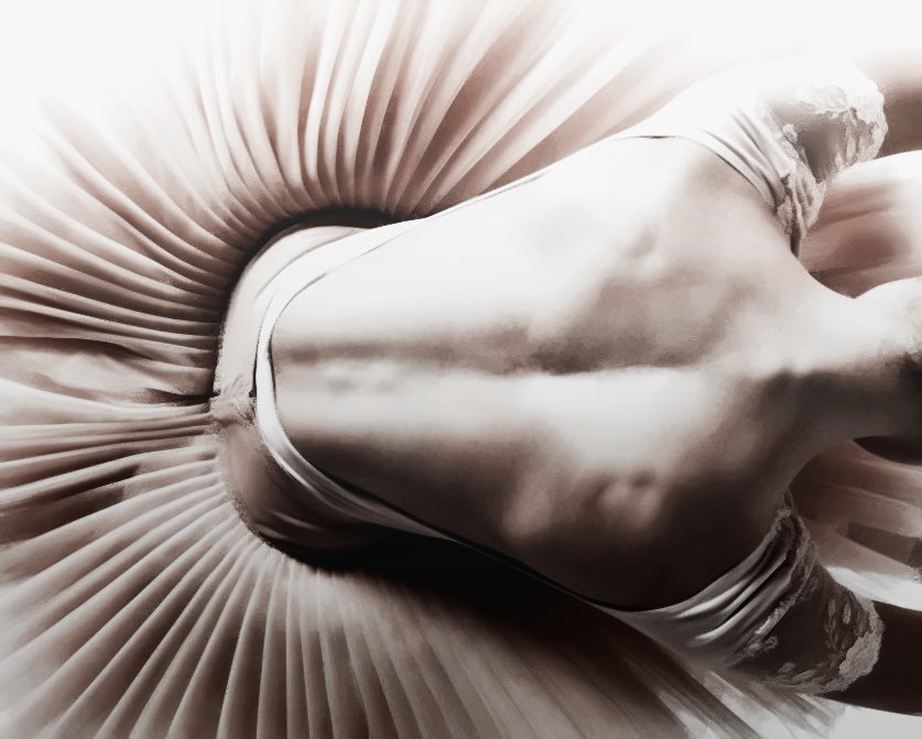 𝓓𝒂𝒑𝒉𝒏𝒆 tweet media