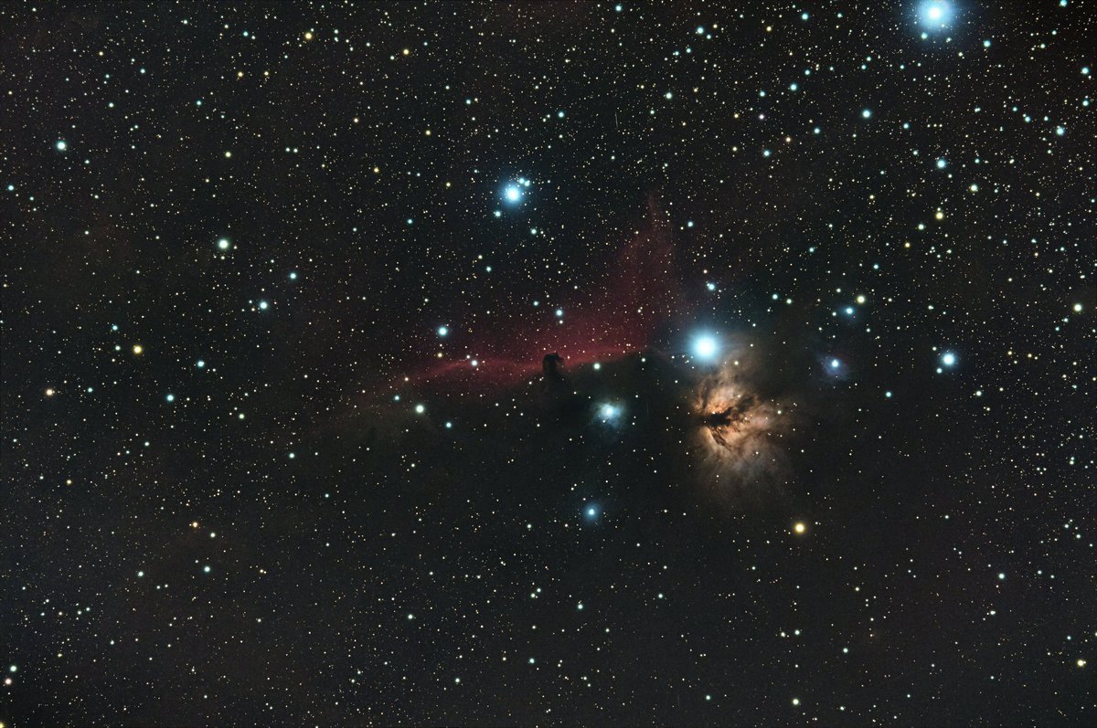 hum3ug's tweet photo. Can I just post anything here? Horse-head Nebula - Captured sometime during 2020 #space https://t.co/88E8A4xASp