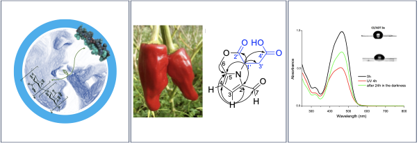 IUBO AG (@iuboag) on Twitter photo New papers from <a href="/DDDIAZgroup/">AFM-NANO</a> published on "Bio-microparticles for oral insulin delivery" (AJOPRED.); " New alkaloid from Capsicum annuum L. var. Palmera " (Molbank); and "photoactive bio-films for light energy harvesting" (Cellulose). <a href="/ULL/">Universidad de La Laguna</a>, con el apoyo de <a href="/CabildoTenerife/">Cabildo de Tenerife</a> New papers from <a href="/DDDIAZgroup/">AFM-NANO</a> published on "Bio-microparticles for oral insulin delivery" (AJOPRED.); " New alkaloid from Capsicum annuum L. var. Palmera " (Molbank); and "photoactive bio-films for light energy harvesting" (Cellulose). <a href="/ULL/">Universidad de La Laguna</a>, con el apoyo de <a href="/CabildoTenerife/">Cabildo de Tenerife</a>