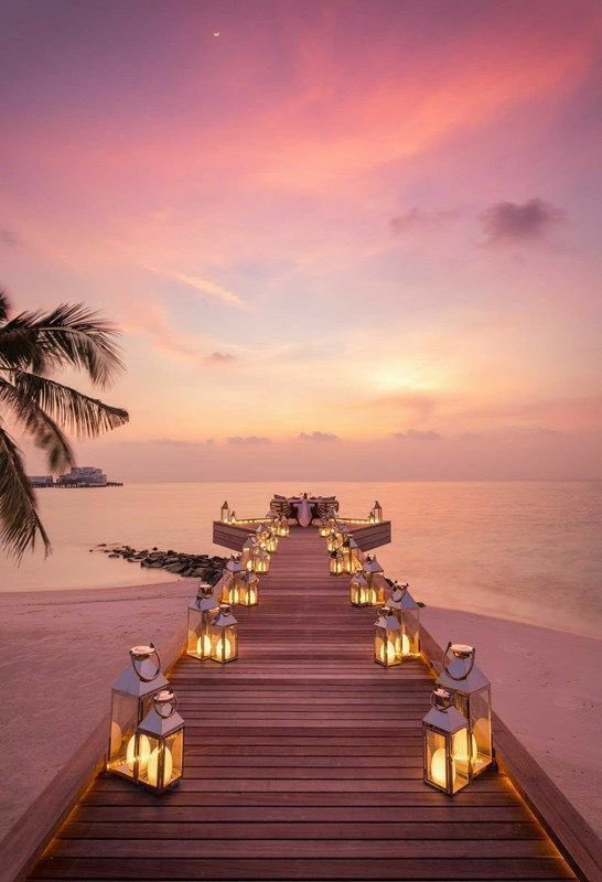SerialPisces's tweet photo. take your pisces here for their birthday https://t.co/baoRSSrDJO