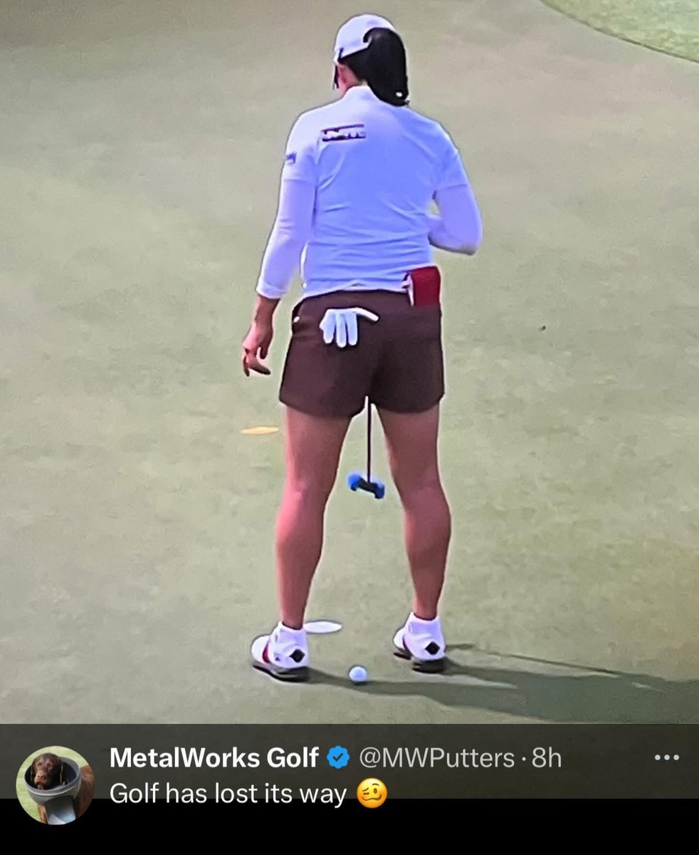 MC81 tweet media
