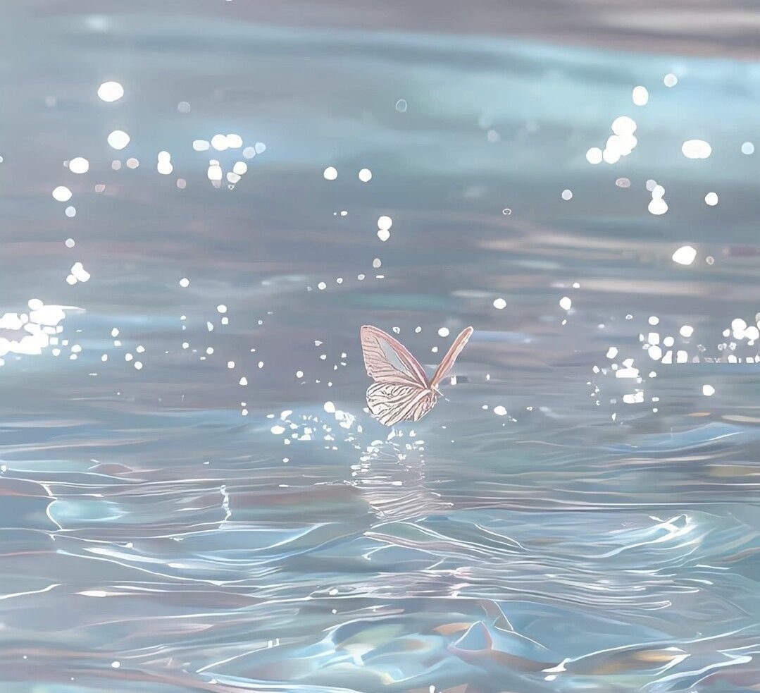 kiwiairene's tweet image. 