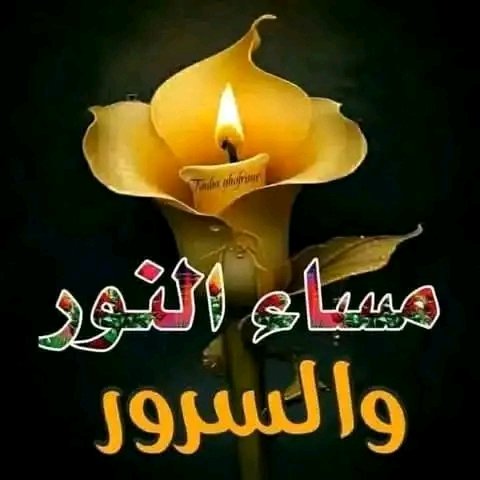 🌸بعض القلوب هدايا تقدّمها لنا الحياة🌹
🪴 وبعض الناس ساعات تاخذ وقتها و تمضي🪷
🌷وبعض الناس أغلی ما تقدّمهُ الحياةُ لنا🪻
🪴مساؤكم سعادة وطمأنينة تغمر أرواحكم🩷 🌿💫