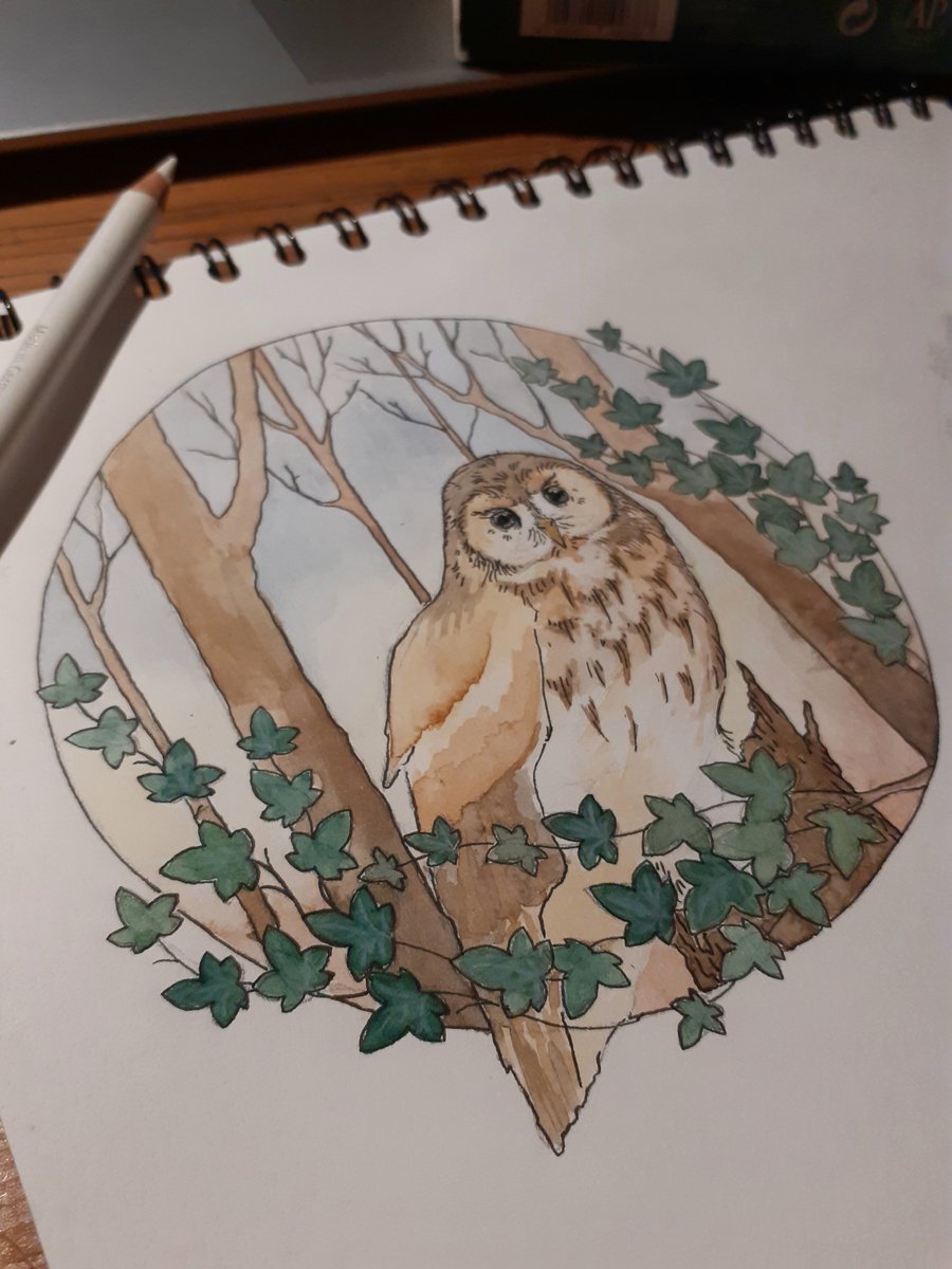 I've a friend's advice and afforded myself space to noodle around with my art stuff. I'm part way through some little illustrations of the Owl and the Nightingale (...from 'The Owl and the Nightingale', shockingly)