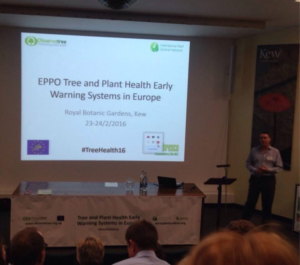 cobwebdr's tweet image. Nine years ago today - its amazing how we have grown from a fledgling #citizenscience concept @IPSN_BGCI #observatree to fully grown operational projects delivering essential #planthealth #biosecurity @SJRAfloat @plantchief @Bertolicus