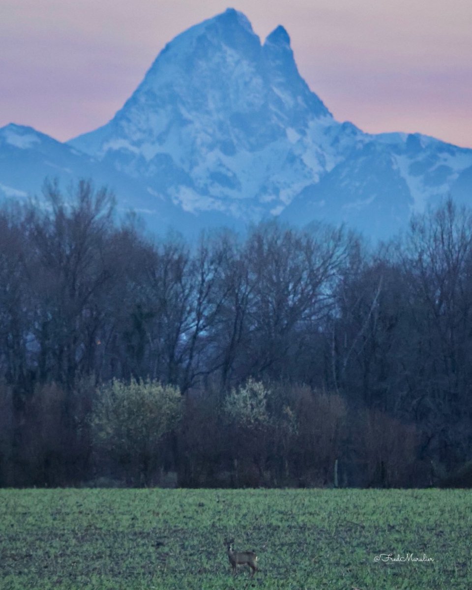 Ce soir, juste après le coucher du soleil..