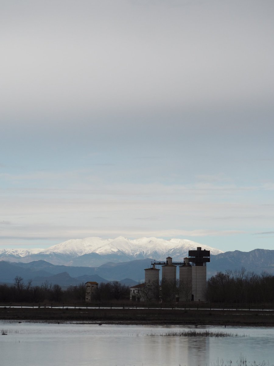aperich4's tweet photo. Sortida ornitològica 1/5 amb @LimnosEdC, avui s'ha jugat a casa! Dia gris però ple de vida!

📍 PN Aiguamolls de l'Empordà https://t.co/IPMNydxDlv