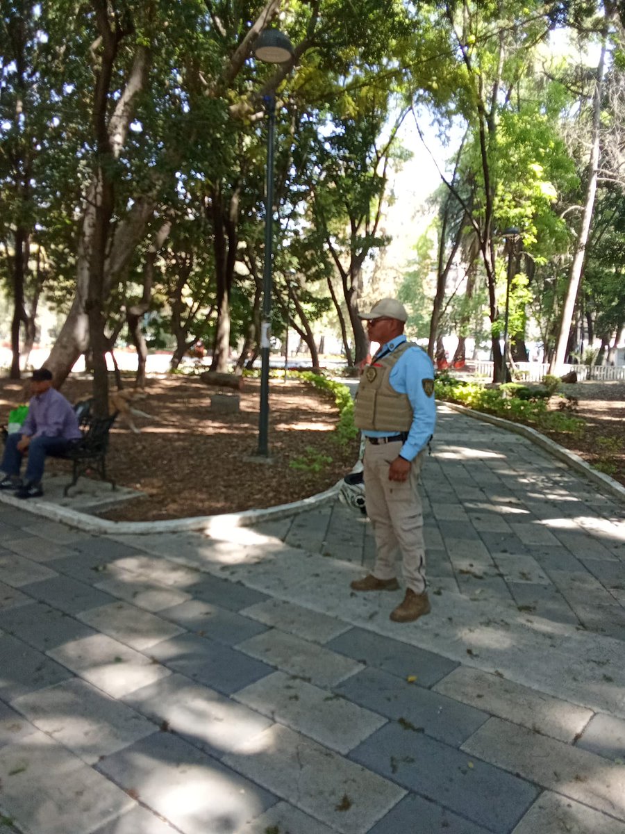 <a href="/UCS_GCDMX/">Unidad de Contacto del Secretario SSC CDMX</a> <a href="/PabloVazC/">Pablo Vázquez Camacho</a> <a href="/ClaraBrugadaM/">Clara Brugada Molina</a> <a href="/AlessandraRdlv/">Alessandra Rojo de la Vega</a> <a href="/cklilian/">Lilian ChapaKoloffon</a> <a href="/AlcCuauhtemocMx/">Alcaldía Cuauhtémoc</a> <a href="/C5_CDMX/">C5 CDMX</a> <a href="/laucasillas/">Laura Casillas Reportera</a> <a href="/LaRomaDF/">Colonia Roma 🚲</a> <a href="/MultiJuarezRoma/">MultifamJuárez_Roma</a> <a href="/oscarbalmen/">Oscar Balmen</a> <a href="/sergioaguayo/">Sergio Aguayo</a> <a href="/RomaNorte3/">Roma Norte</a> <a href="/RomaNorte2/">Roma Norte II</a> <a href="/SPAOVP_CDMX/">Subsecretaría de Programas Alcaldías Ordenamiento</a> ¿Quieren pruebas de cómo los vecinos hacemos su chamba?. 
¿Por qué a las 8:30 ayer, llego un tercer policía de negro y 2 uniforme azul de SSC? La luz volvió cuando ya no estaban.
La que siempre atiende inmediato es <a href="/PaolAcesa/">Paola Aceves</a> mil gracias.
Parte de evidencias que sabe <a href="/PabloVazC/">Pablo Vázquez Camacho</a>