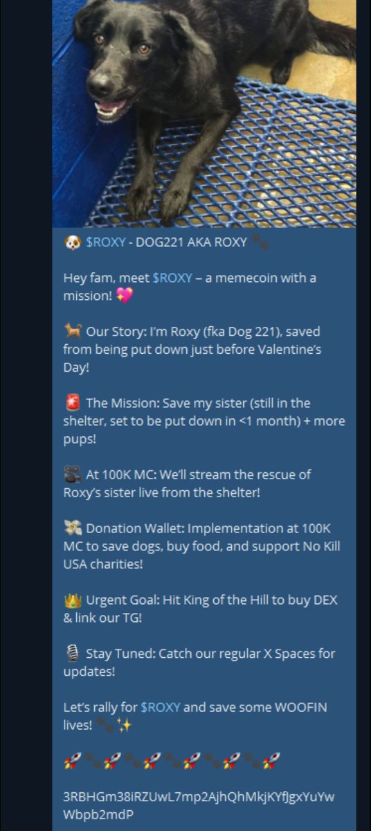 <a href="/Euris_JT/">Euris</a> This is the meta 

Please help these dogs