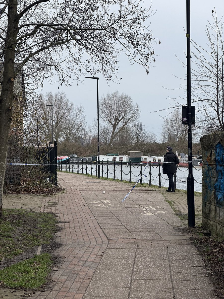 Jacob Dylan Jarvis tweet media