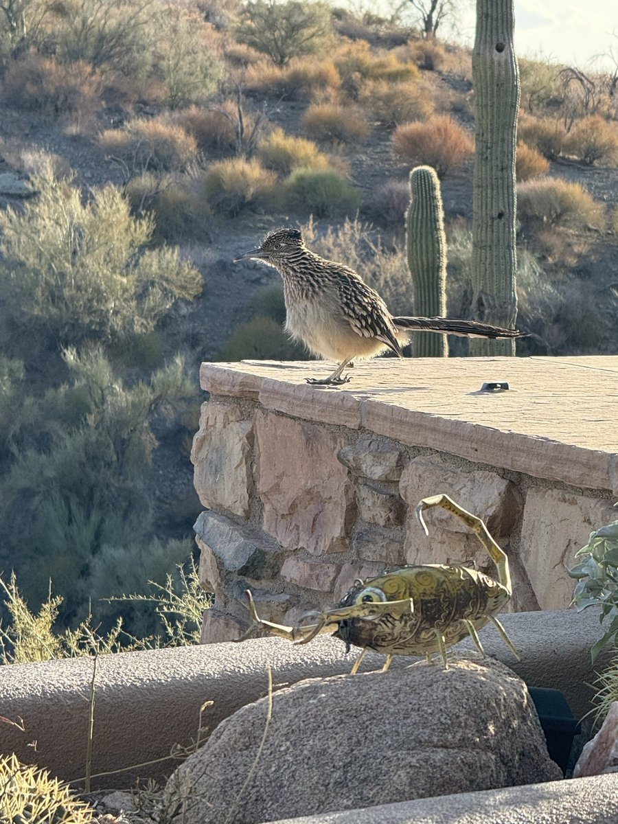 fietstwiets's tweet image. 