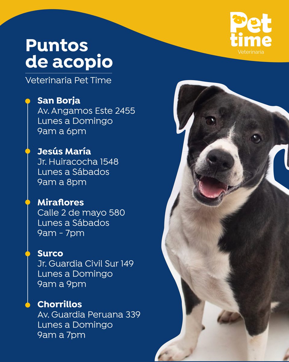Además utiliza vitaminas/suplementos vía oral:
48💊Neurobion s/84
40💊Núcleo CMP s/140
Bisolvon s/ 22.40

Exámenes 🩸 cada 2 días
Debemos s/438

TODA AYUDA SUMA PARA MANCHITAS🙏🏼 también tenemos punto de acopio. Gracias.