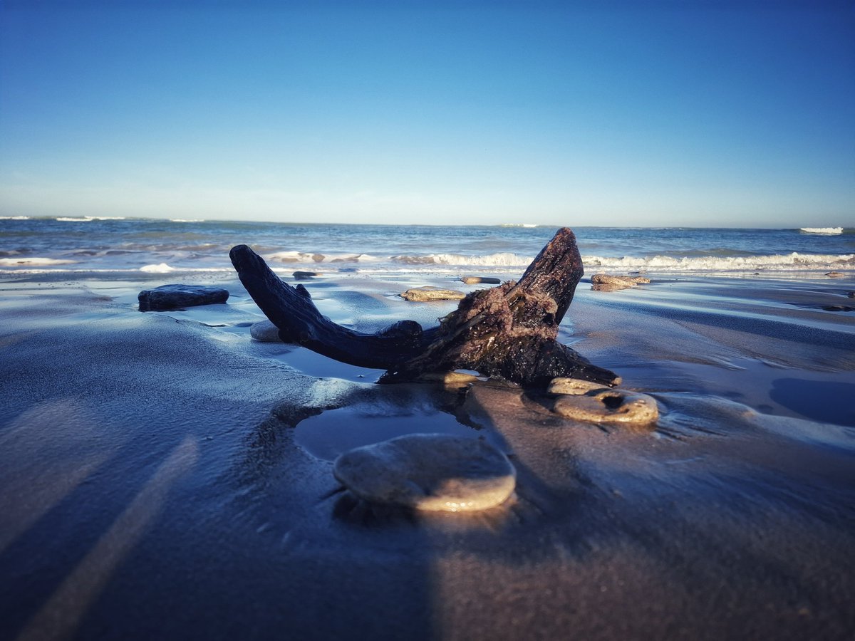 Rmmateos's tweet photo. #Dpaseo #pocoqueañadir #retalesdelfinde #calma #entorno #bytheseashore #Dpueblo #Observando https://t.co/OFv3ewL0Fe