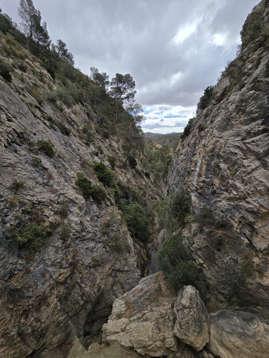 samuel_biener's tweet image. Hoy hemos visto poco el sol ☁️ andando por la zona del Sit y Xorret de Catí, entre los términos de #Petrer y #Castalla. El viento ha soplado con algunas rachas intensas y teníamos algunas llovizna puntuales.

Los almendros están vestidos de gala estos días ❤️❤️.