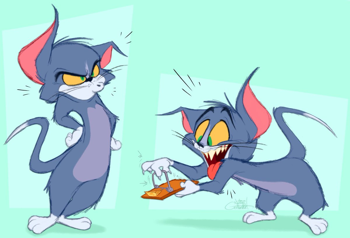 SilentJack8's tweet image. Crazy Cat