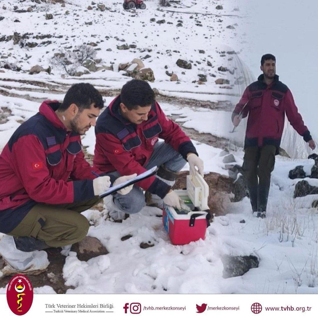 Veteriner hekimler, ülkemizin en ücra köşelerinde, zor şartlar altında, fedakârca hizmet vermeye devam etmektedir. Halk sağlığının, hayvan sağlığının ve güvenli gıdaya erişimin teminatı olan meslektaşlarımız, yüzlerce zoonotik hastalıkla mücadele ederken bu hastalıklara birebir