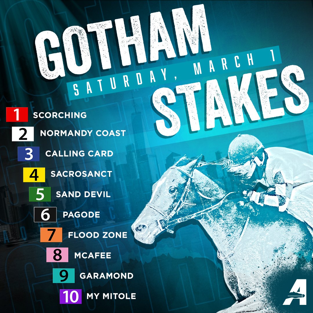 NYRA (🗽) (@thenyra) on Twitter photo The field is set for the Grade 3, $300,000 Gotham Stakes, with 50 <a href="/KentuckyDerby/">Kentucky Derby</a> points on the line! The field is set for the Grade 3, $300,000 Gotham Stakes, with 50 <a href="/KentuckyDerby/">Kentucky Derby</a> points on the line!