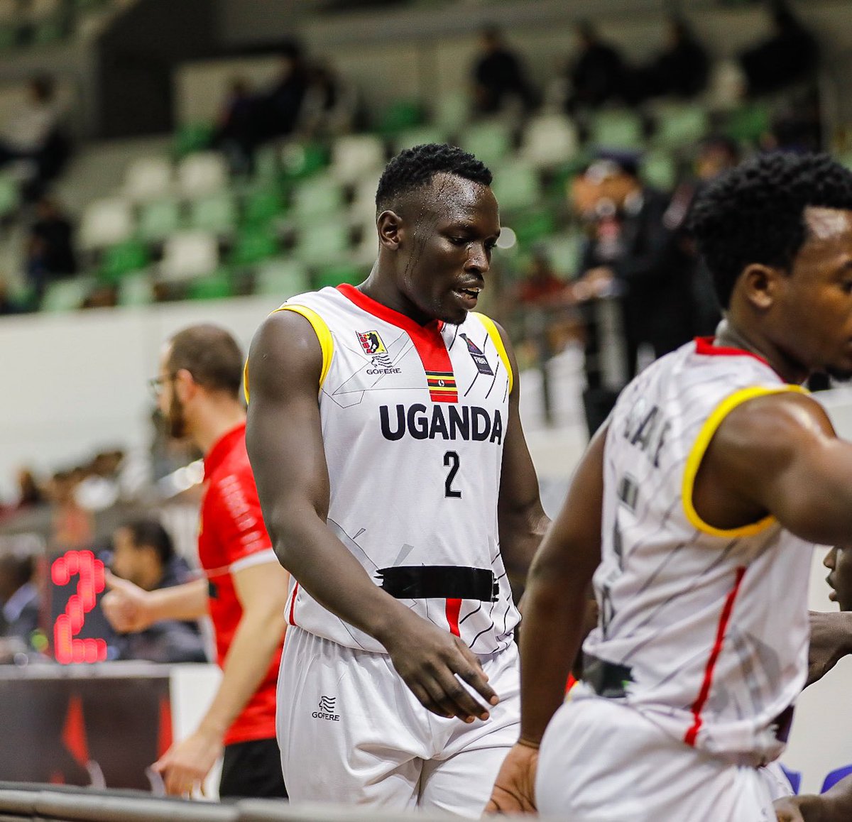 Silverbacks Basketball tweet media