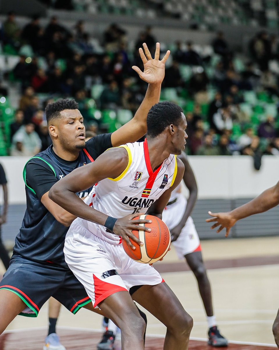 Silverbacks Basketball tweet media