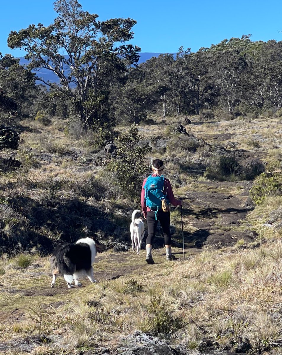 #fundaysunday #bigisland