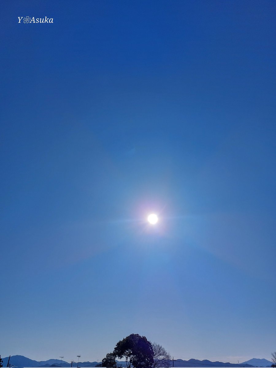 yumeasutw's tweet photo. #青空 にお日様燦々✨
快晴のキーンと冷えた朝です☀️
#朝空
#a2025 #a0224 #a202502 https://t.co/Eq8xktPE7D