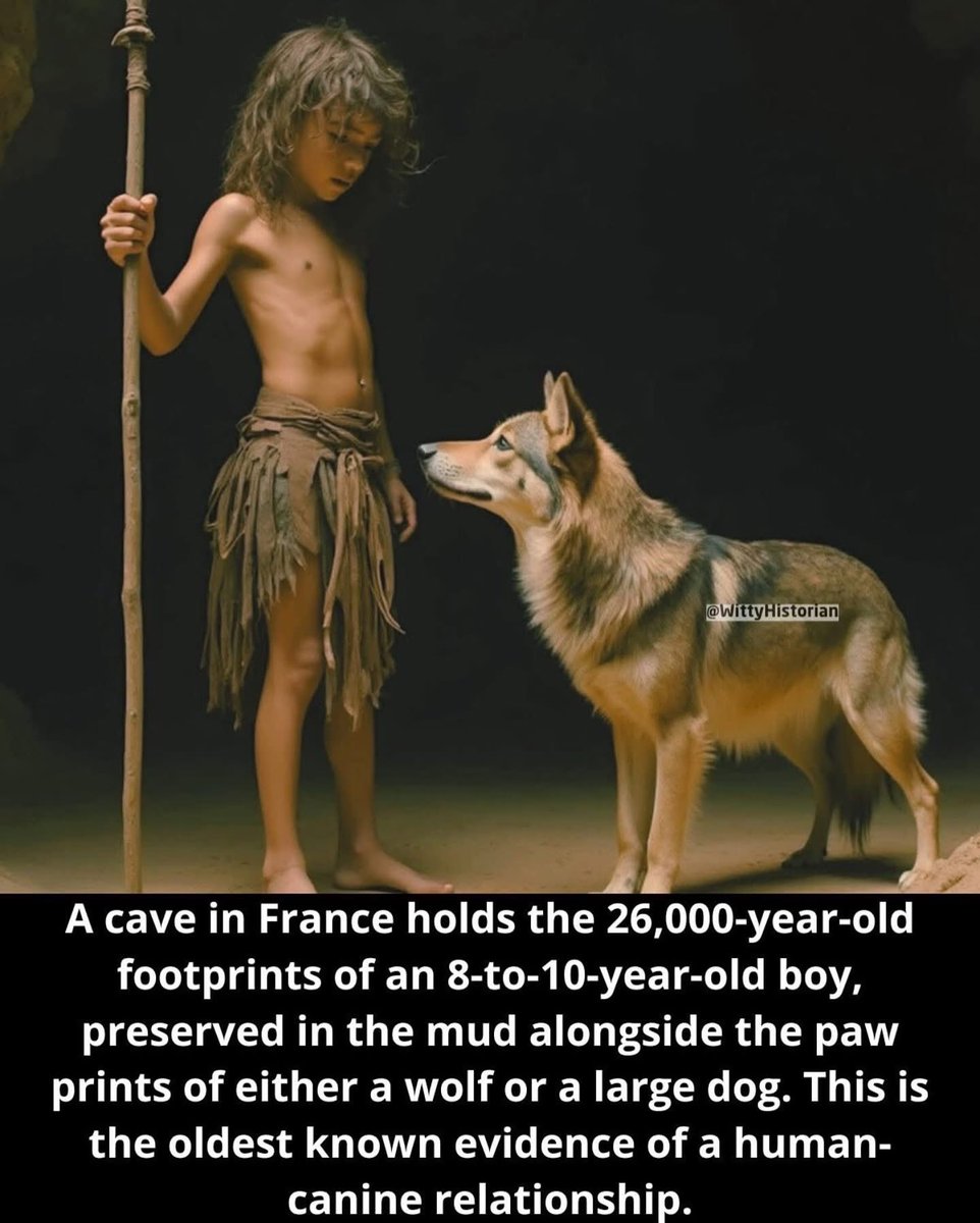 NatArcheo's tweet image. Our #DeepHistory is amazing if you care to learn… #NationalArchaeologic #NatArcheo