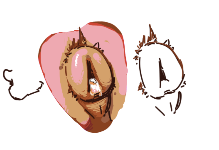 Caseypup 🏳️‍⚧️ ΘΔ 🐾 tweet media