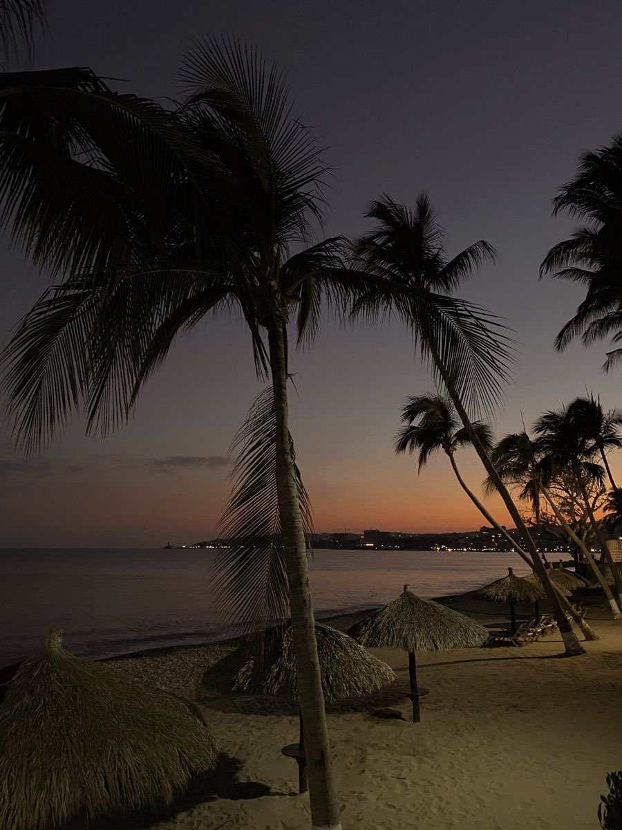 roseweaslvy's tweet image. hangout