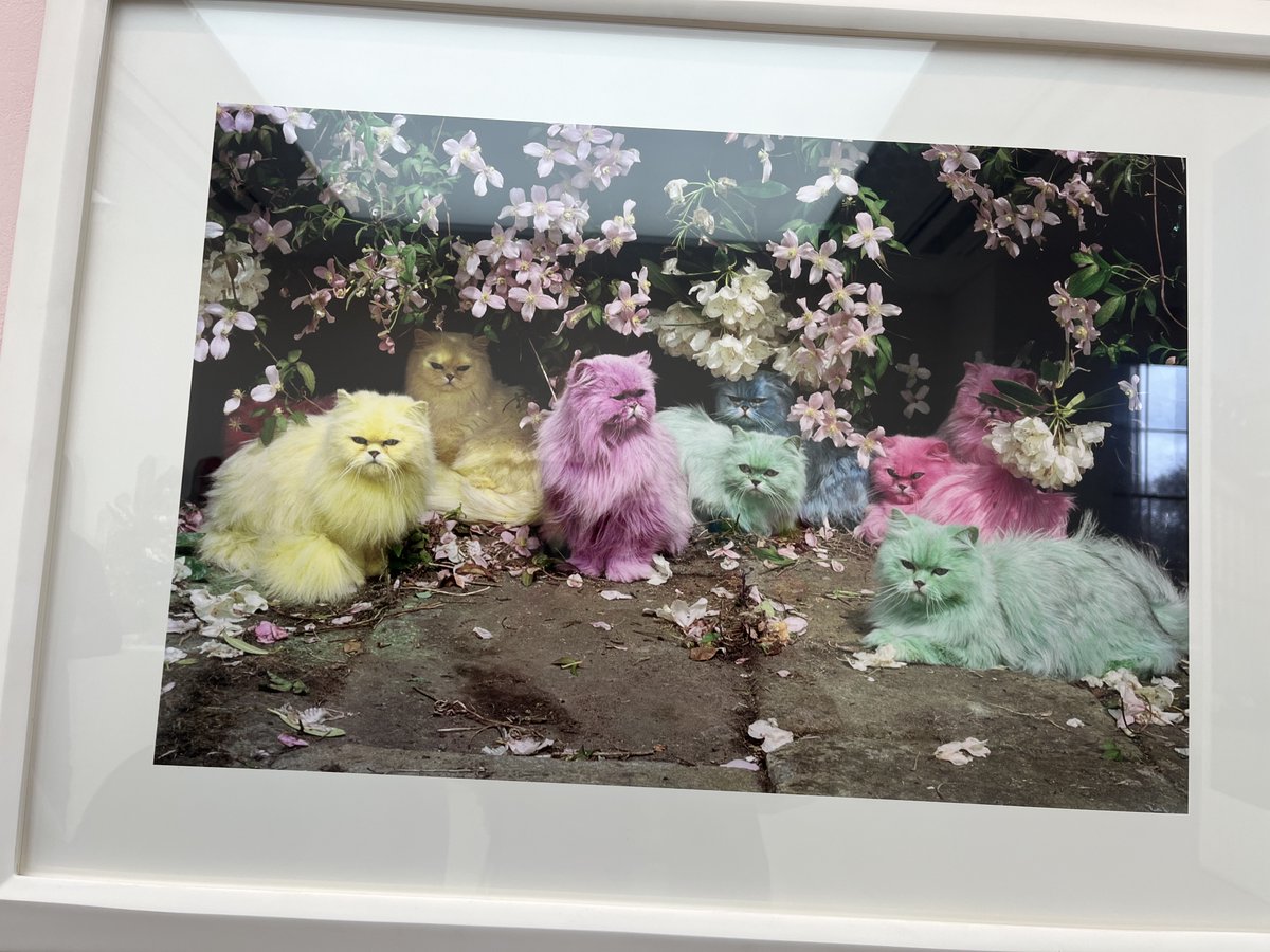 Emma Fielding tweet media