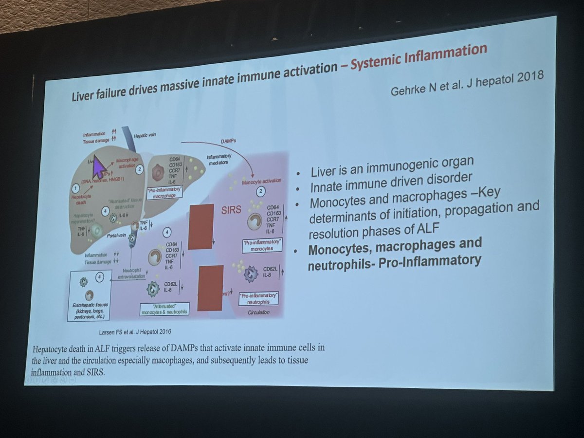 Sapna Kudchadkar, MD, PhD (@sapnakmd) on Twitter photo Delighted to learn from my dear friends <a href="/aakashdeeparora/">Akash Deep</a> & <a href="/yoncabulutmd/">Yonca Bulut M.D.</a> at #SCCM2025 on what’s new in pediatric liver failure management. #PedsICU Delighted to learn from my dear friends <a href="/aakashdeeparora/">Akash Deep</a> & <a href="/yoncabulutmd/">Yonca Bulut M.D.</a> at #SCCM2025 on what’s new in pediatric liver failure management. #PedsICU