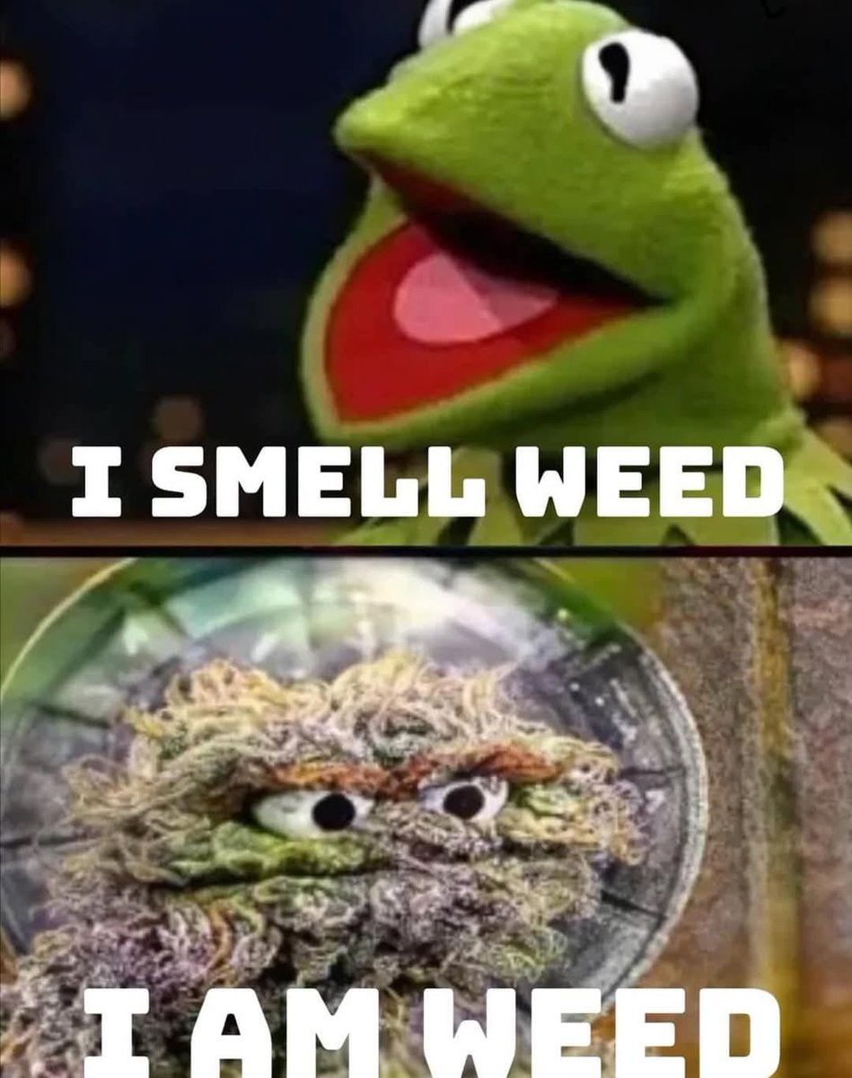 Stoner Jesus™ (@stonerjesus420) on Twitter photo 