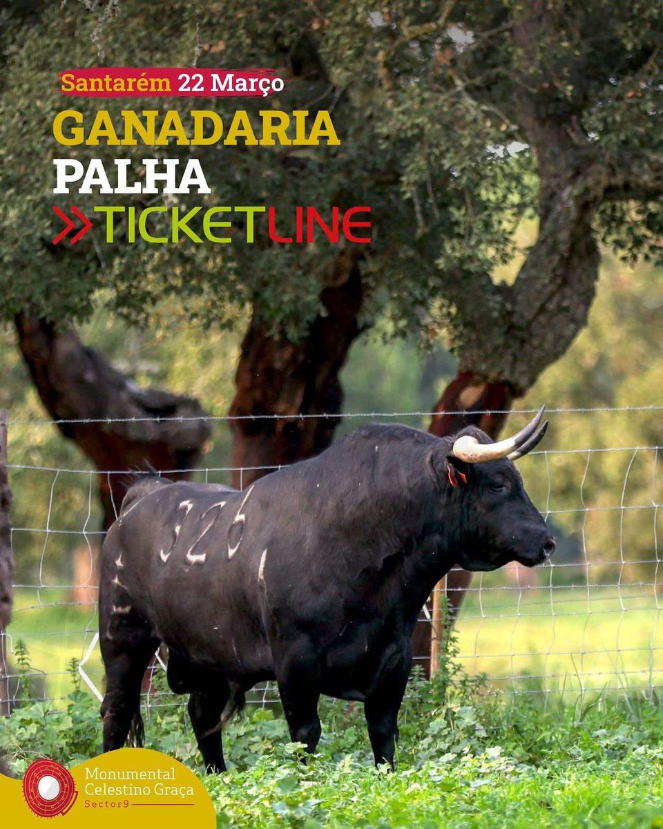 A 22 de Março, a Ganadaria Palha marca presença, numa corrida que promete ser histórica e onde Joao Moura Jr. lidará 6 Toiros! 🙌

𝗥𝗲𝗲𝘀𝗰𝗿𝗲𝘃𝗲𝗿 𝗮 𝗵𝗶𝘀𝘁𝗼́𝗿𝗶𝗮 | 𝗝𝗼𝗮̃𝗼 𝗠𝗼𝘂𝗿𝗮 𝗝𝗿.

🎟️ shorturl.at/E0liI 🎟️
📲+ Info em: 914094038