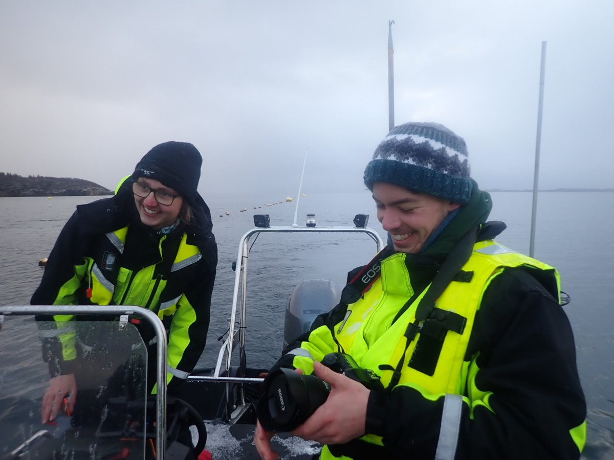 Alexander Jueterbock tweet media