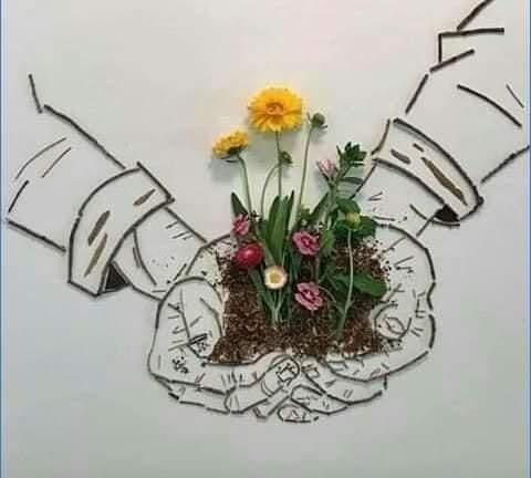 اقطفوا ما شئتم من زهور الموده
وقدموها لمن تحبون
فزهرة الحب :
أن تحب لأخيك ما تحب لنفسك
 وزهرة الإخاء : 
 لا تنس أخاك من دعوة
صالحة في ظهر الغيب 
وزهرة الإخلاص : 
أخلص النية لله تعالى في القول والعمل تكن أسعد الناس 
و زهرة القناعة : 
القناعة كنز غال يملكه كل قلب قنوع